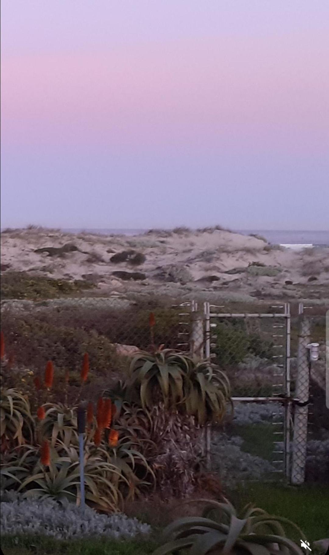 Beachmusic Cape Town Luaran gambar